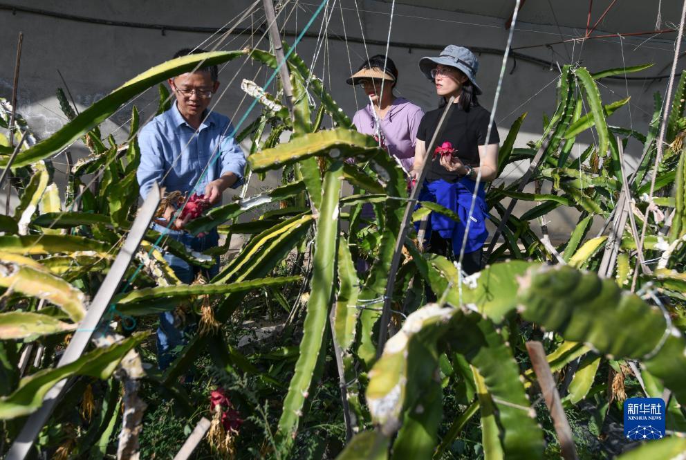 mg游戏网址
